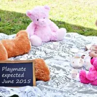 teddy bear picnic baby annoucement