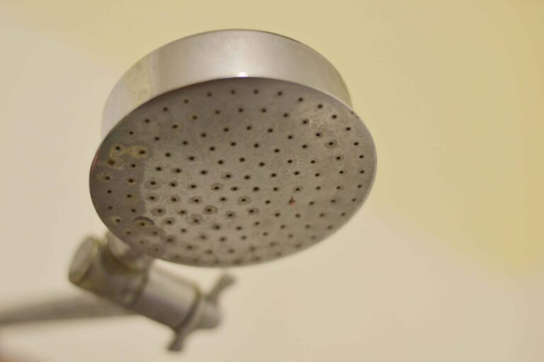 Clean Shower Head Naturally Simplify Create Inspire