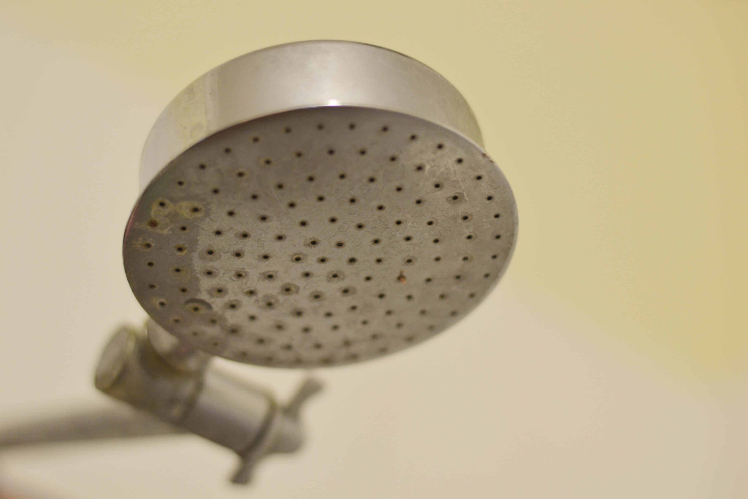 Clean Shower Head Naturally Simplify Create Inspire