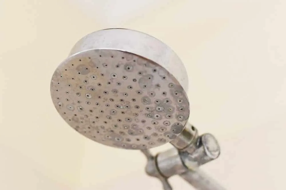Shower head with calcium build up and limescale