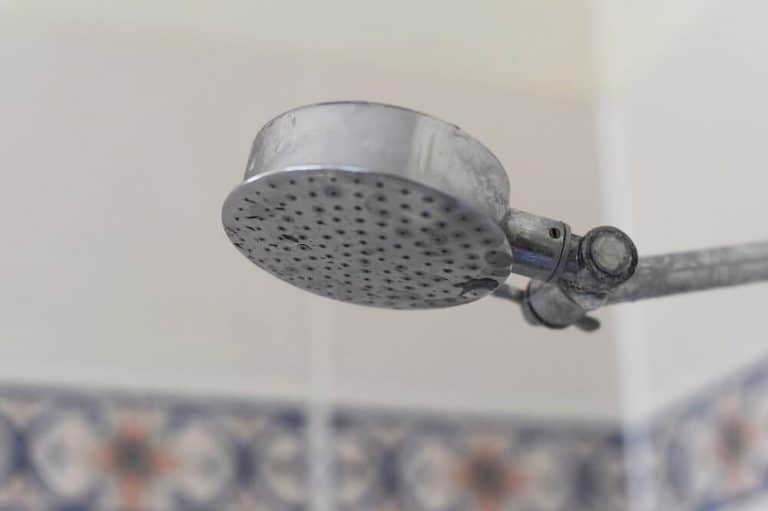 How To Clean & Descale A Shower Head Easy Cleaning Hack