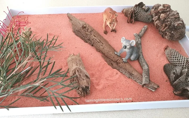 australian animals sensory bin