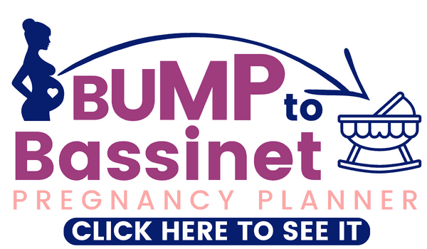 Bump to bassinet pregnancy planner