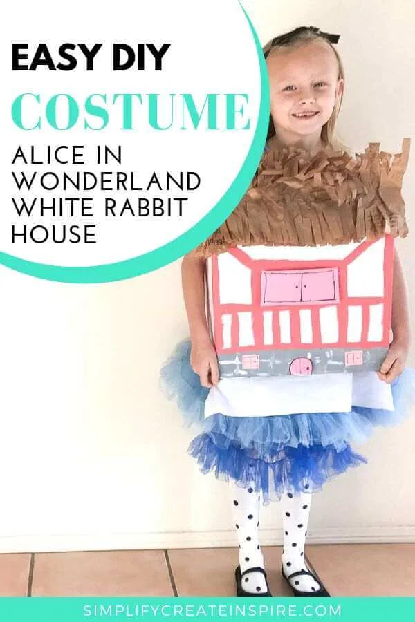 Alice in wonderland house costume