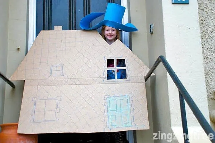 Night pirates house costume