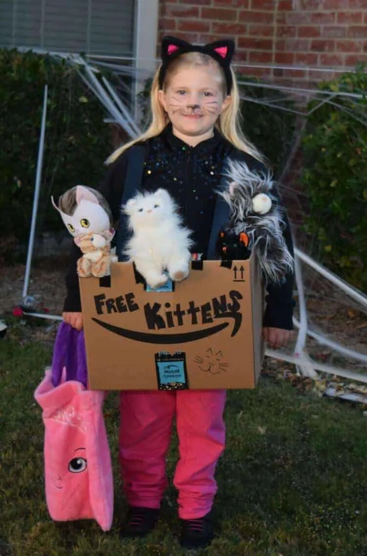 Diy free kittens box costume