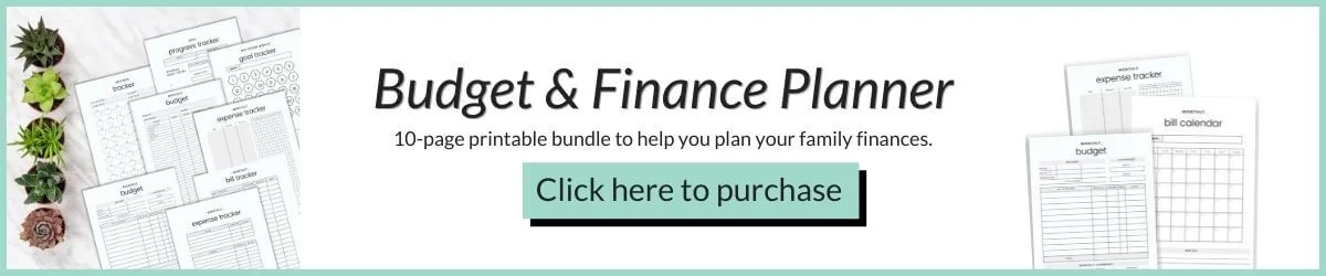 Budget finance planner