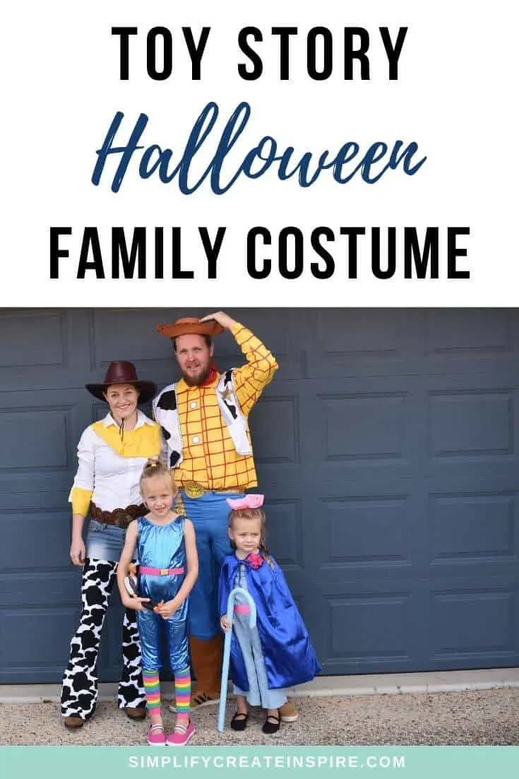 Toy story family costume