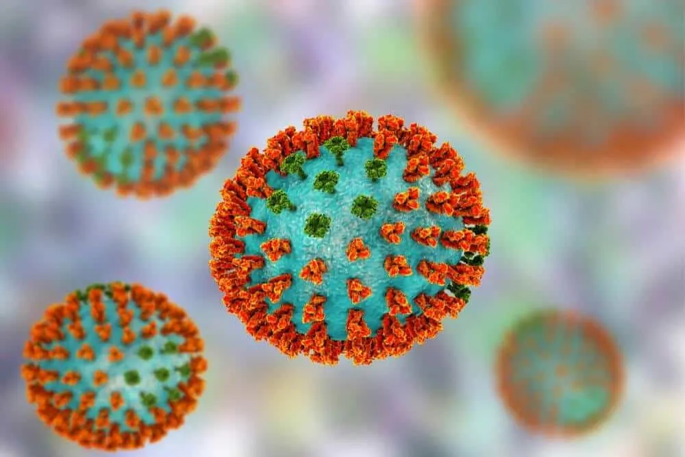 Magnified germ influenza virus