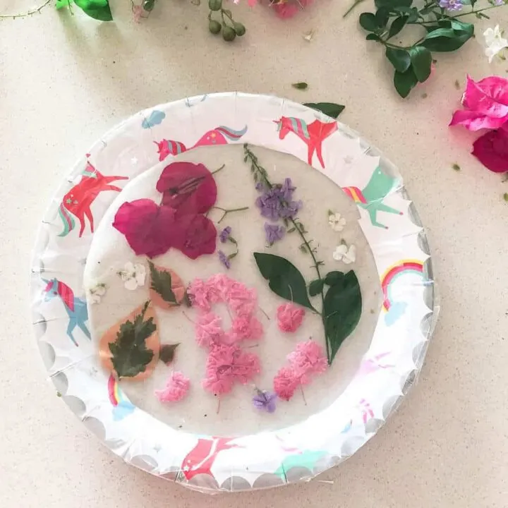 How to make a suncatcher with a paper plate