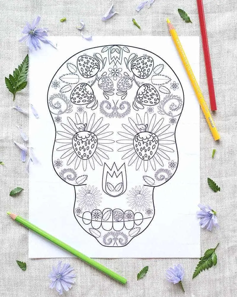 Sugar skull colouring page