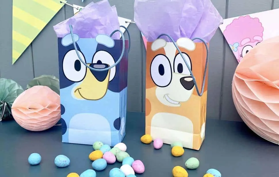 Bluey party bags