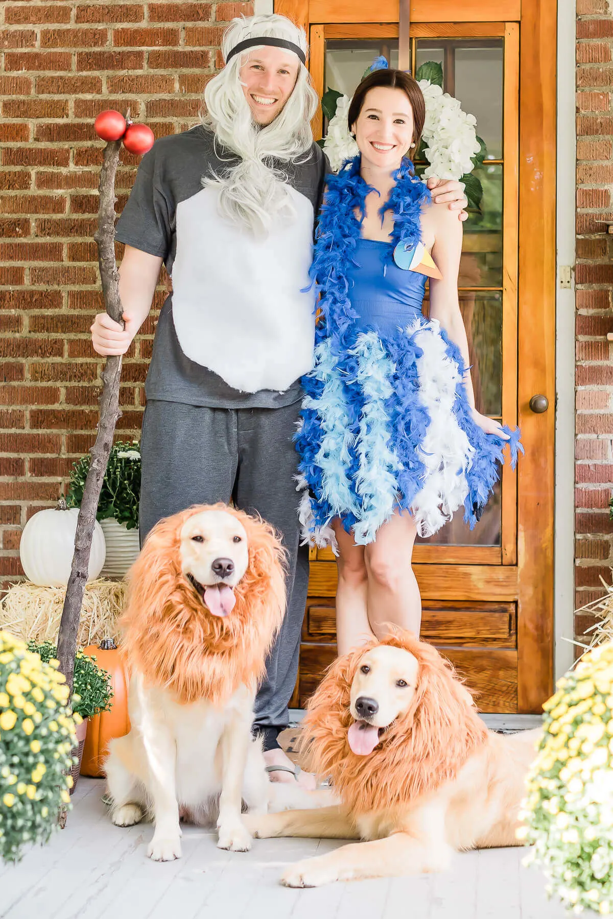 Lion king family costume dog costumes