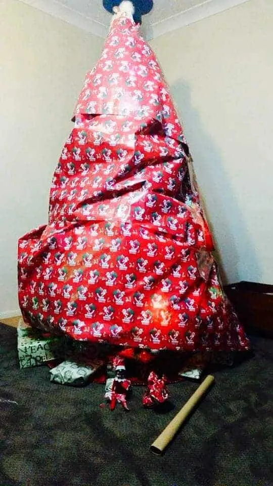 wrapped Christmas tree