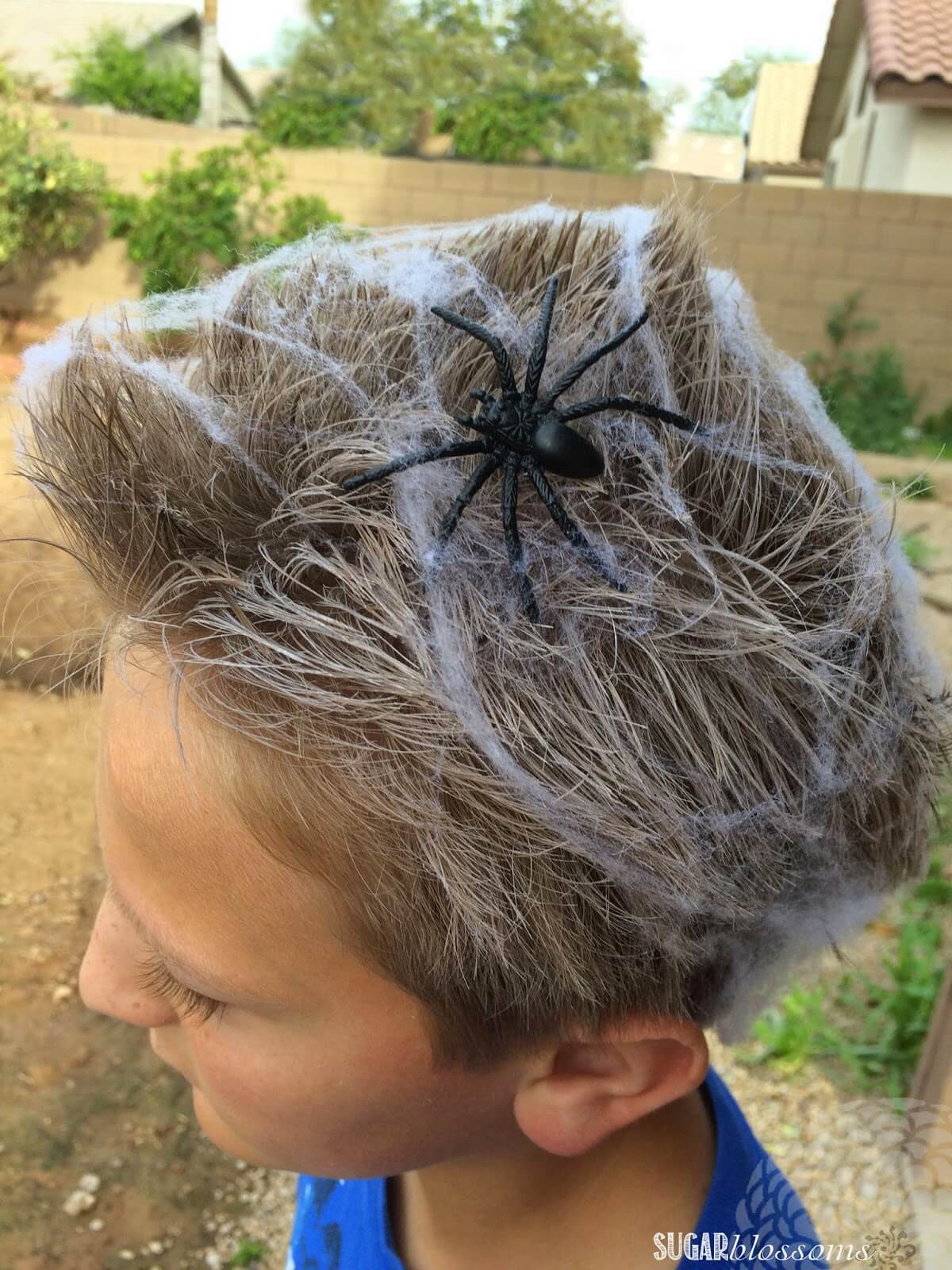 spiderweb hair