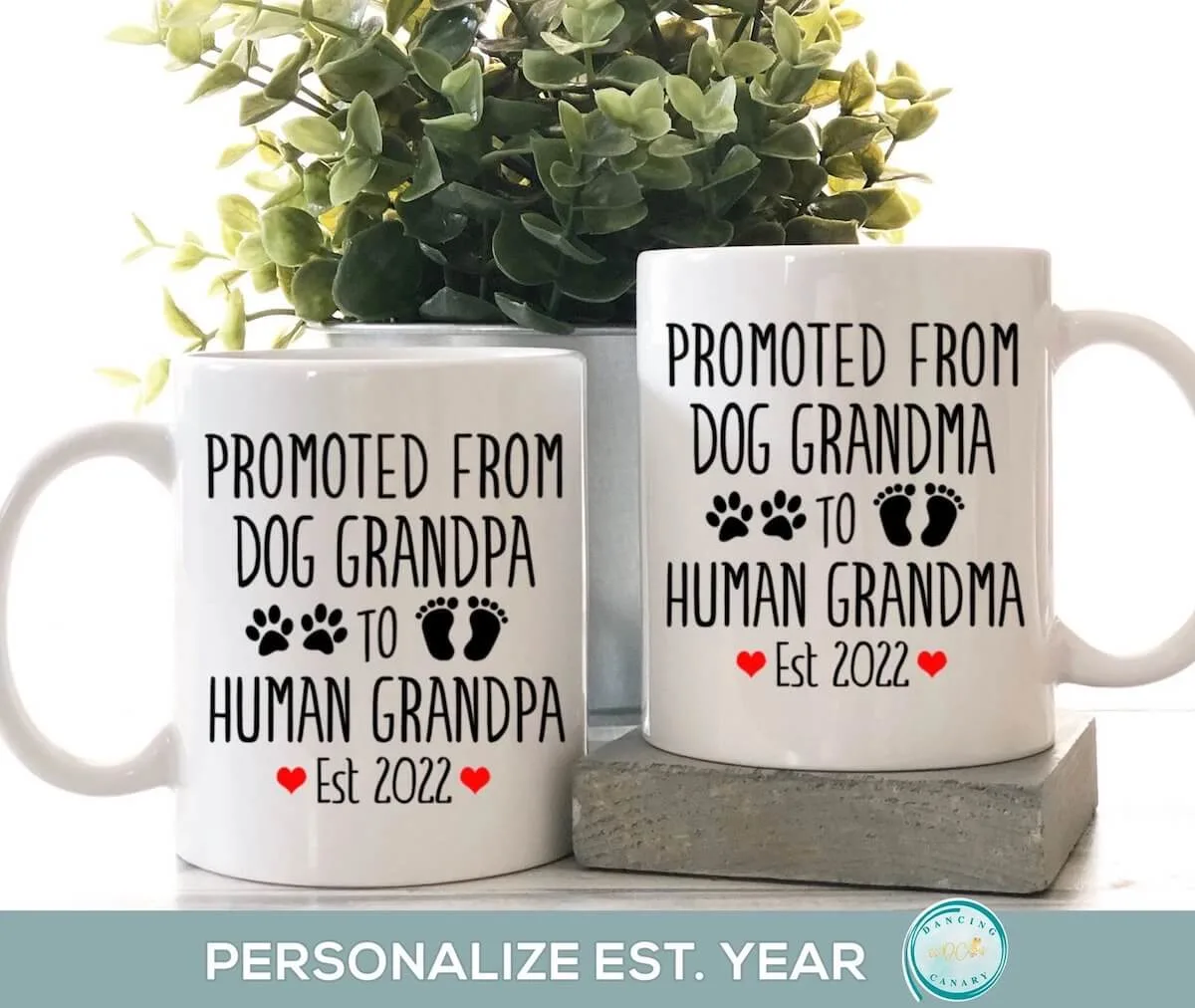 Promoted to grandparents mugs