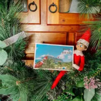 postcard from an elf friend