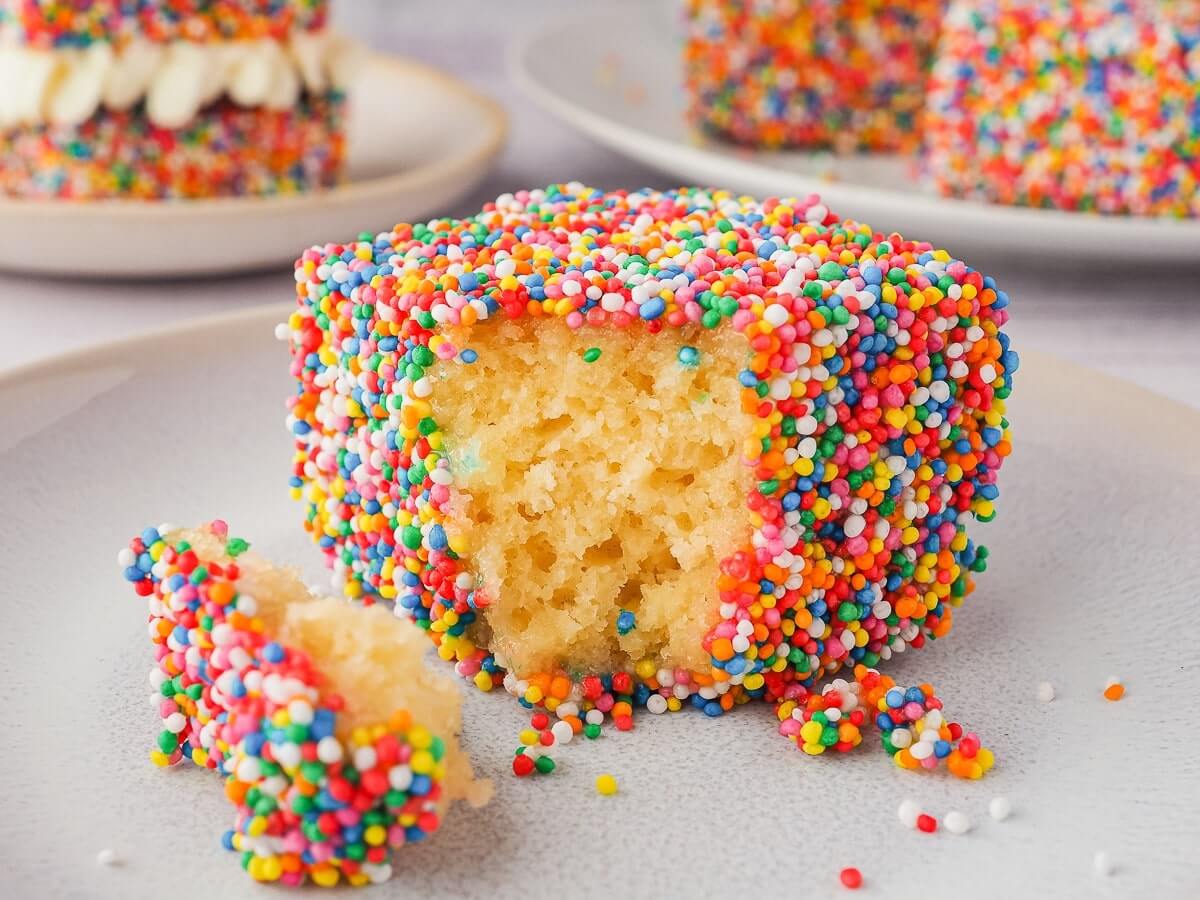 Fairy bread lamington with piece pulled away
