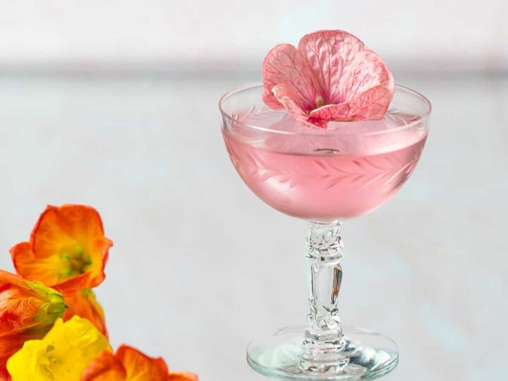 hibiscus martini.