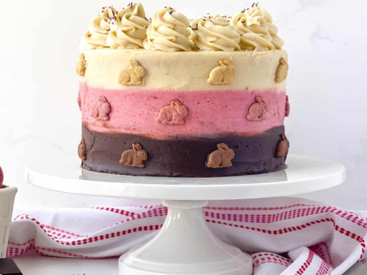 neapolitan cake.