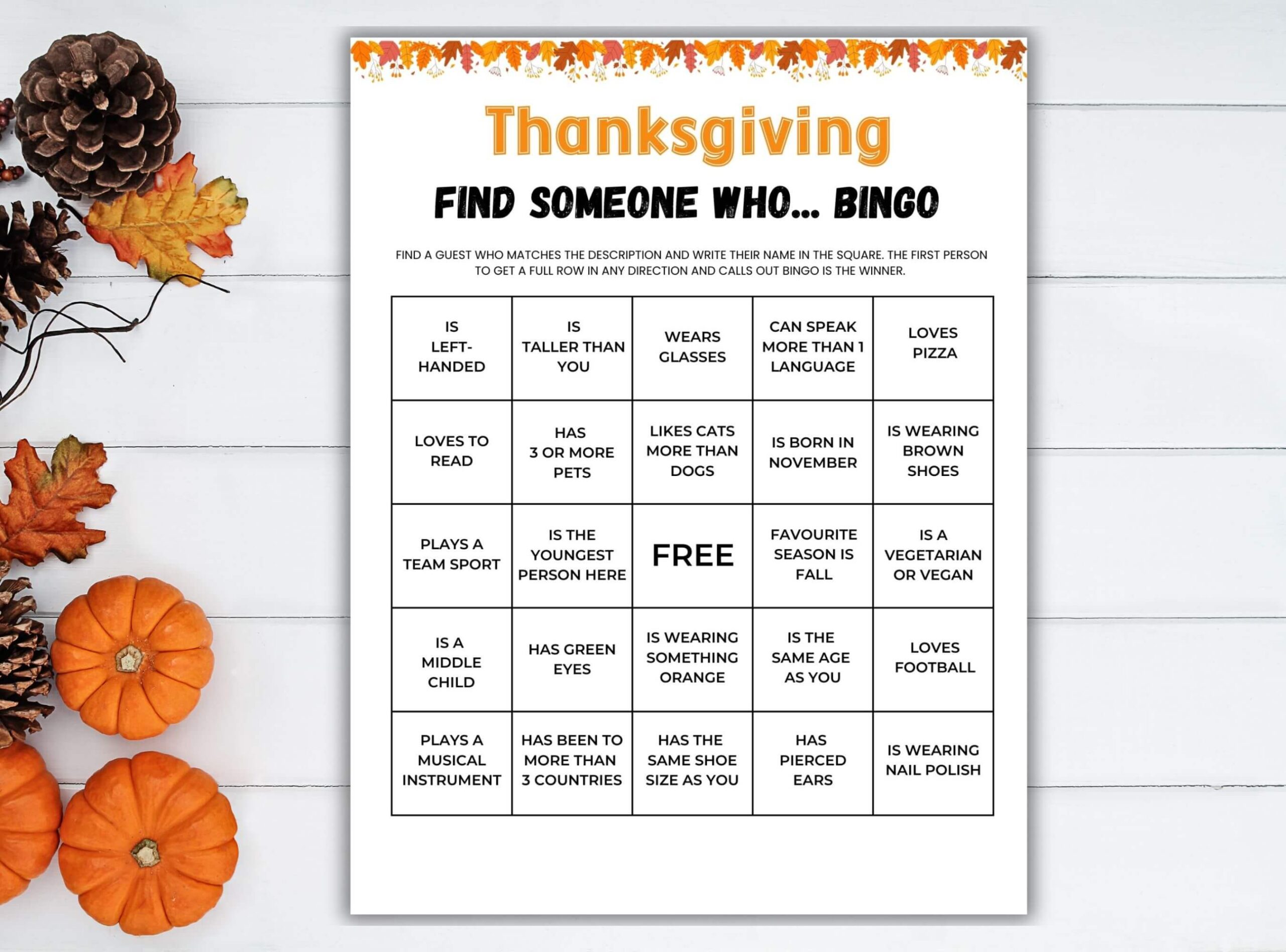 find someone who bingo.