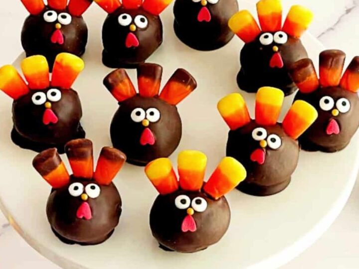 turkey cake pops.